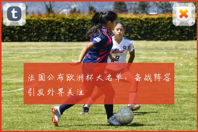 法国公布欧洲杯大名单，备战阵容引发外界关注