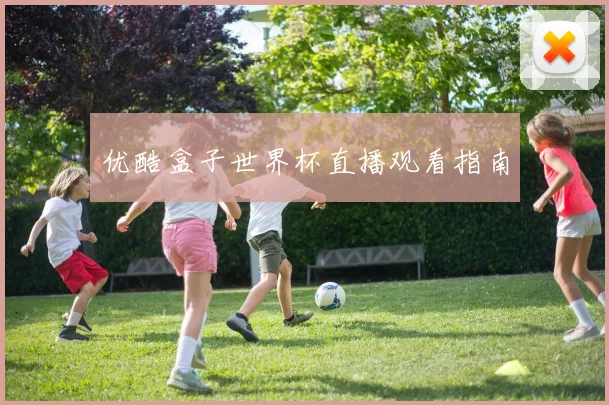 优酷盒子世界杯直播观看指南