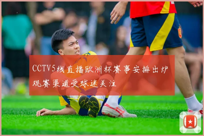 CCTV5线直播欧洲杯赛事安排出炉 观赛渠道受球迷关注